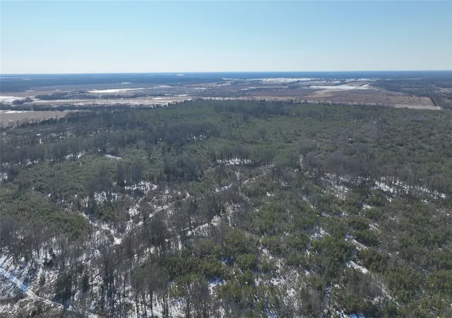 Homes for sale in Bagwell, TX | Tbd County Road 2242 S, Bagwell, TX 75412 | MLS# 21163305