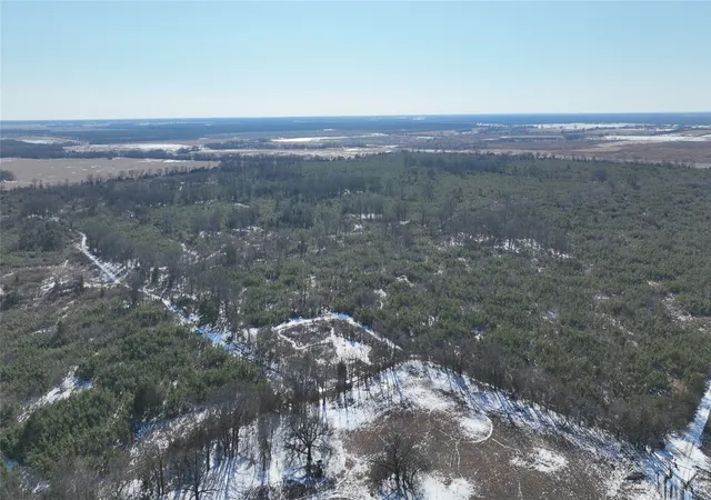 Homes for sale in Bagwell, TX | Tbd County Road 2242 S, Bagwell, TX 75412 | MLS# 21163305