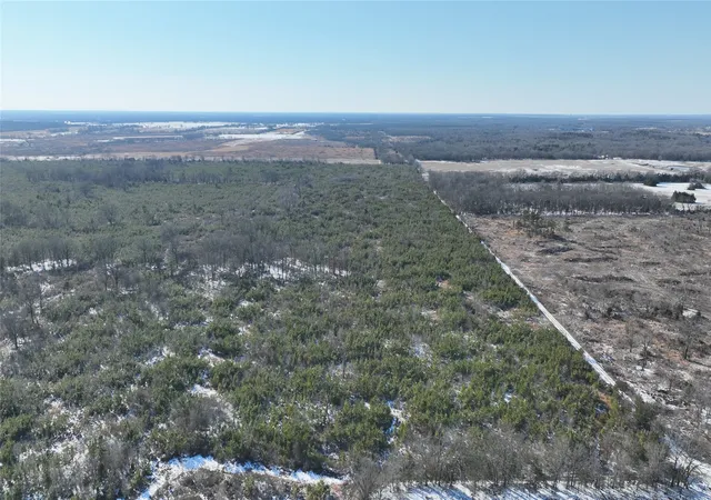 Homes for sale in Bagwell, TX | Tbd County Road 2242 S, Bagwell, TX 75412 | MLS# 21163305