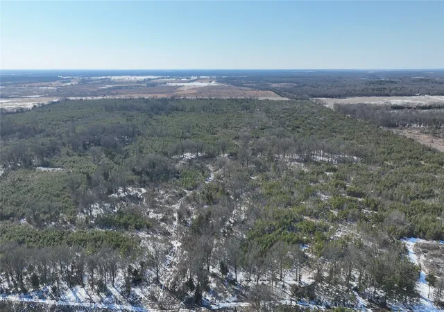 Homes for sale in Bagwell, TX | Tbd County Road 2242 S, Bagwell, TX 75412 | MLS# 21163305