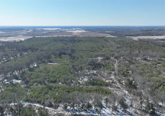 Homes for sale in Bagwell, TX | Tbd County Road 2242 S, Bagwell, TX 75412 | MLS# 21163305