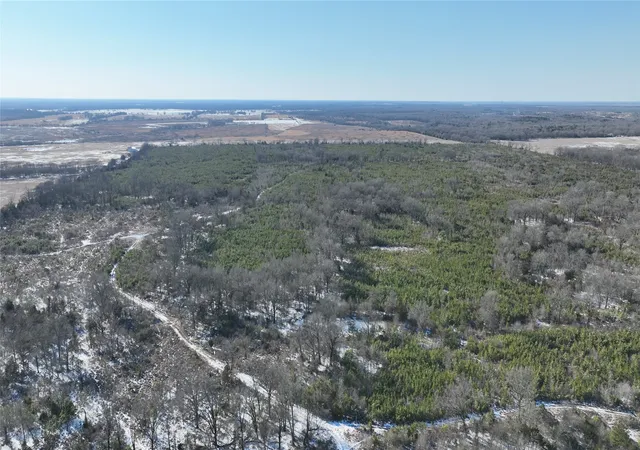 Homes for sale in Bagwell, TX | Tbd County Road 2242 S, Bagwell, TX 75412 | MLS# 21163305