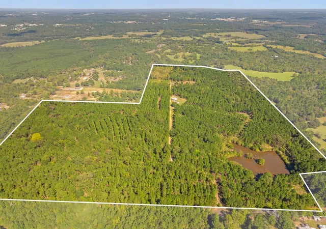 Land for sale at 5379 Cr 385, Tyler, TX 75708 | MLS# 21163737