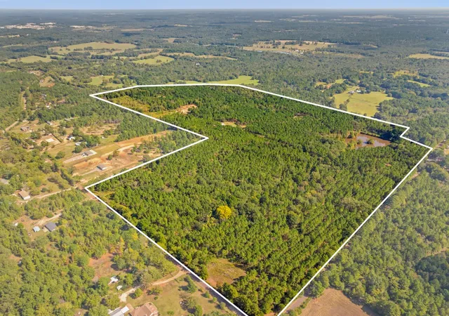 Photo 4 of Land for sale at 5379 Cr 385, Tyler, TX 75708 | MLS# 21163737 | Listing updated on 2026-08-19