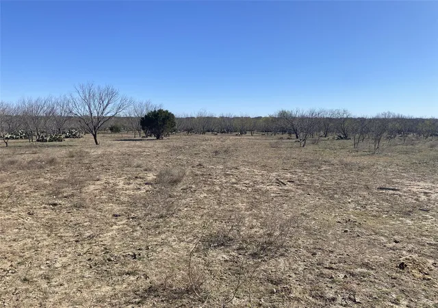 Homes for sale in Brookesmith, TX | 15605 County Road 211, Brookesmith, TX 76827 | MLS# 21159304