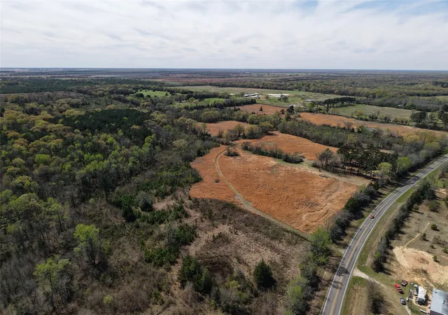 Homes for sale in Bagwell, TX | Tbd Fm 195, Bagwell, TX 75412 | MLS# 21163617