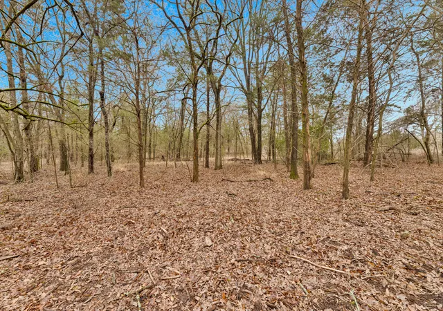 Homes for sale in Kaufman, TX | Tbd Co Rd 343, Kaufman, TX 75142 | MLS# 21160902