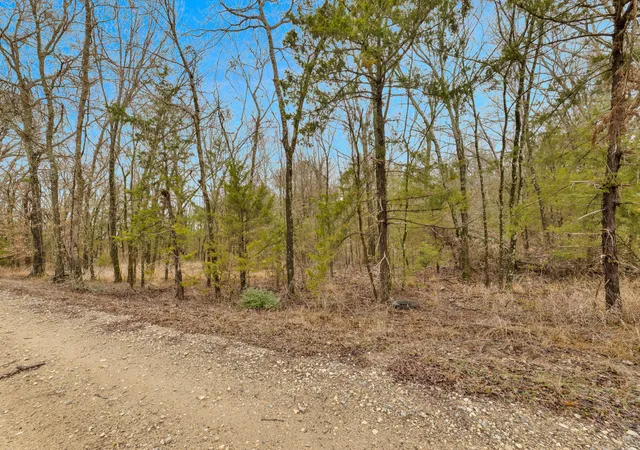 Photo 3 of Land for sale at Tbd Co Rd 343, Kaufman, TX 75142 | MLS# 21160902 | Listing updated on 2026-08-19