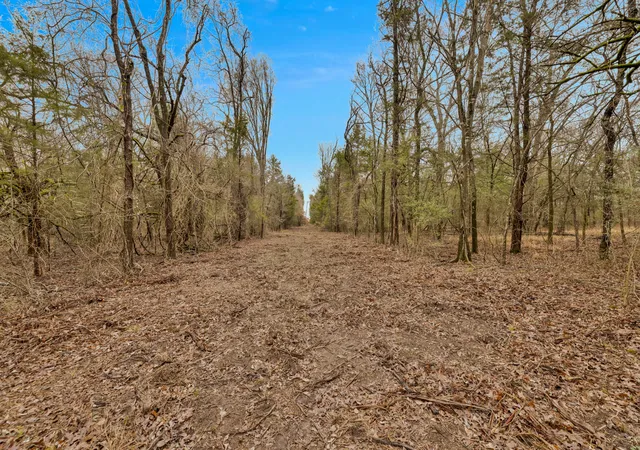 Photo 4 of Land for sale at Tbd Co Rd 343, Kaufman, TX 75142 | MLS# 21160902 | Listing updated on 2026-08-19