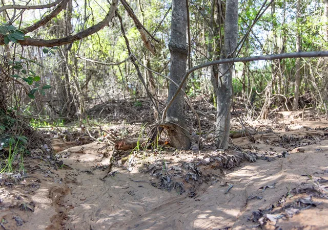 Homes for sale in Winona, TX | Tbd Ridgeline Loop #Lot 93, Winona, TX 75792 | MLS# 21159471