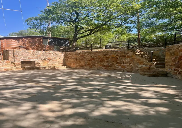 Photo 1 of Land for sale at 181 Pvt Rd 1735, Chico, TX 76431 | MLS# 21165913 | Listing updated on 2026-08-25
