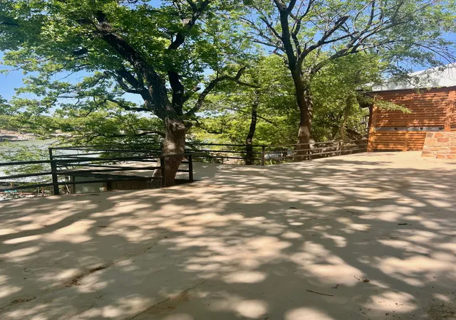 Photo 3 of Land for sale at 181 Pvt Rd 1735, Chico, TX 76431 | MLS# 21165913 | Listing updated on 2026-08-25