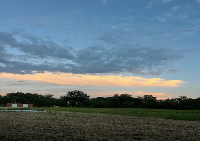 Photo 4 of Land for sale at Tbd Cr 3525, Honey Grove, TX 75446 | MLS# 21165881 | Listing updated on 2026-07-25