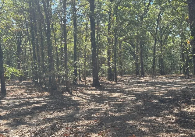 Photo 3 of Land for sale at 179 Rs County Road 2572, Alba, TX 75410 | MLS# 21166482 | Listing updated on 2026-09-24