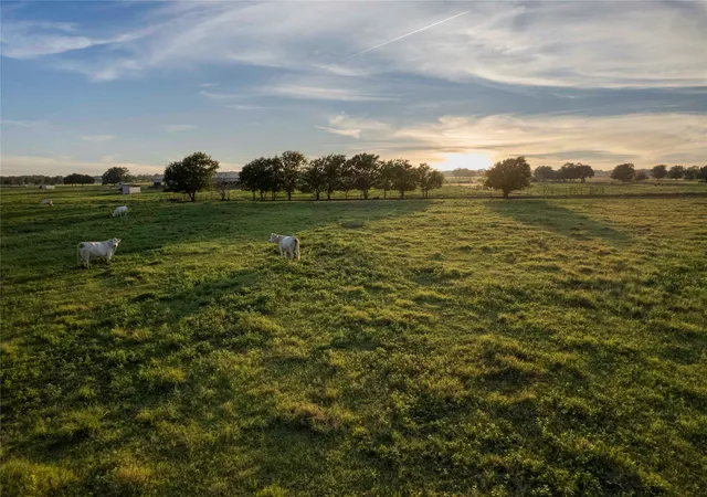 Photo 3 of Sale Pending at Tbd Hog Town Road Road, Collinsville, TX 76233 | MLS# 21166843 | Listing updated on 2026-08-13
