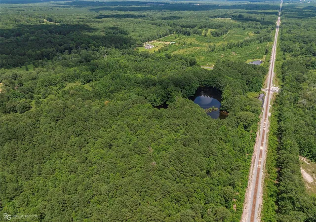 3rd image of P-1 Stuckey Rd, Dubberly, LA 71024 | MLS# 21167715