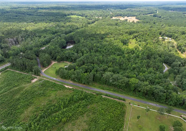 4th image of P-1 Stuckey Rd, Dubberly, LA 71024 | MLS# 21167715