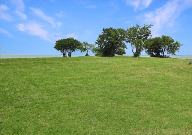 Homes for sale in Streetman, TX | Lot 19 Lake Ridge Dr, Streetman, TX 75859 | MLS# 21162624