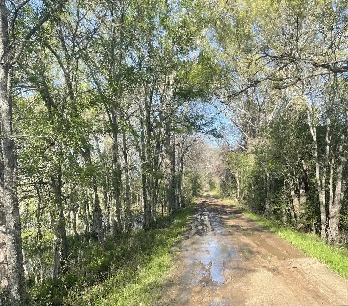Photo 1 of Sale Pending at Tbd Fm 542 Rd, Oakwood, TX 75855 | MLS# 21168235 | Listing updated on 2026-02-19