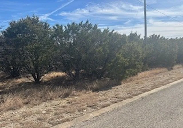 Homes for sale in Graford, TX | Carnoustie Dr Carnoustie, Graford, TX 76449 | MLS# 21168014
