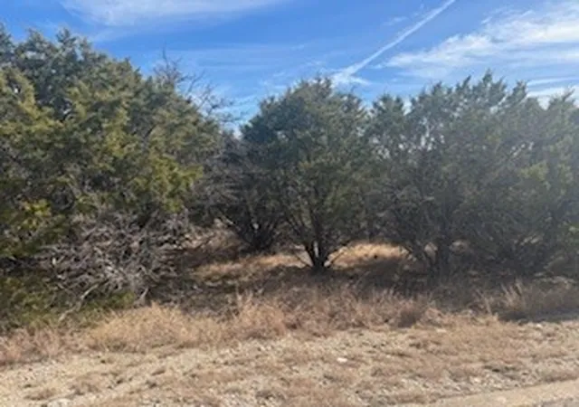 Homes for sale in Graford, TX | Carnoustie Dr Carnoustie, Graford, TX 76449 | MLS# 21168014