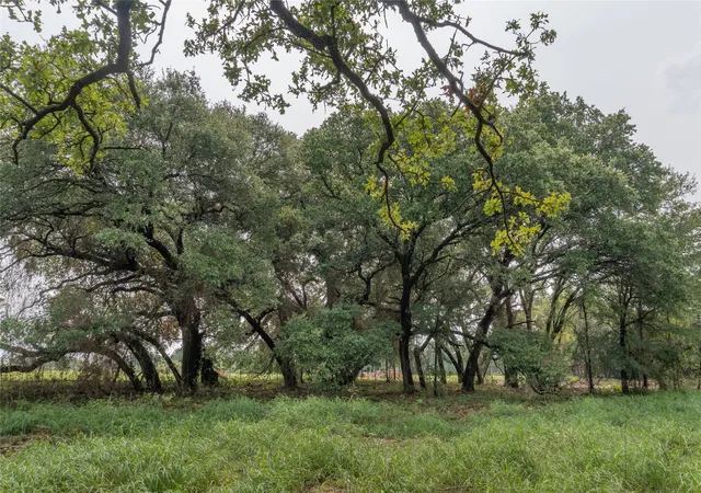 Photo 4 of Land for sale at 4750 Coleman Ranch Road, Tolar, TX 76476 | MLS# 21168572 | Listing updated on 2026-09-21