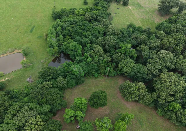 Photo 3 of Land for sale at 00 County Road 2437, Como, TX 75431 | MLS# 21164887 | Listing updated on 2026-08-10