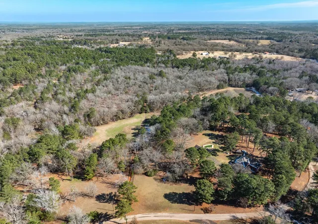 Homes for sale in Bullard, TX | Tbd County Road 3807, Bullard, TX 75757 | MLS# 21169468
