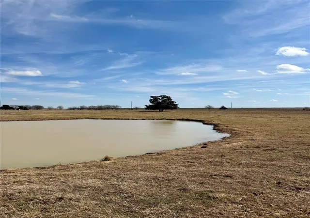 Homes for sale in Thornton, TX | Tbd County Road 656, Thornton, TX 76687 | MLS# 21169502