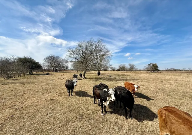 Homes for sale in Thornton, TX | Tbd County Road 656, Thornton, TX 76687 | MLS# 21169502