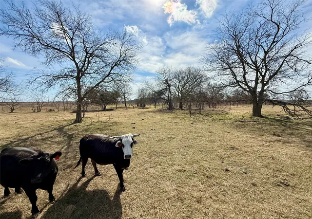 Homes for sale in Thornton, TX | Tbd County Road 656, Thornton, TX 76687 | MLS# 21169502