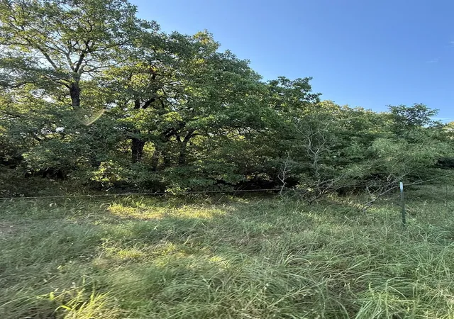 Photo 1 of Land for sale at 8801 Tx 59, Bowie, TX 76230 | MLS# 21154343 | Listing updated on 2026-07-07