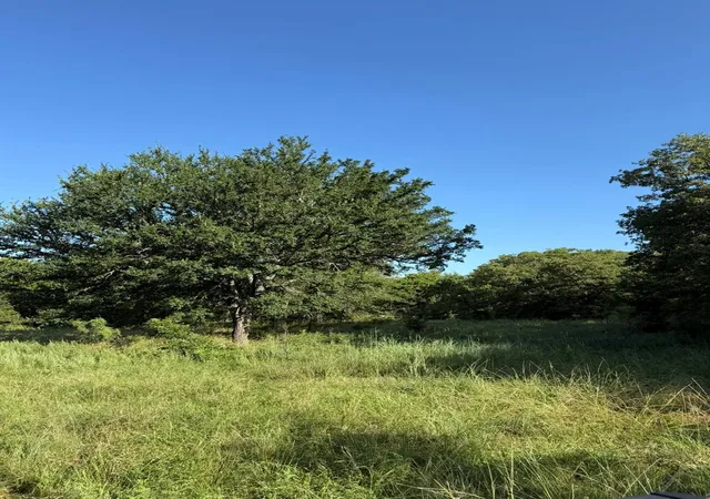 Photo 2 of Land for sale at 8801 Tx 59, Bowie, TX 76230 | MLS# 21154343 | Listing updated on 2026-07-07