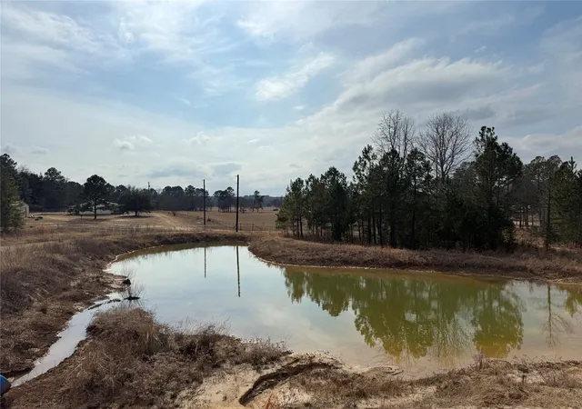 Photo 2 of Land for sale at 12667 Fm 1255, Canton, TX 75103 | MLS# 21169976 | Listing updated on 2026-09-22