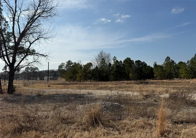 Photo 3 of Land for sale at 12667 Fm 1255, Canton, TX 75103 | MLS# 21169976 | Listing updated on 2026-09-22
