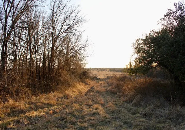 Homes for sale in Gustine, TX | Lot 49 Tatanka Trail, Gustine, TX 76455 | MLS# 21170277