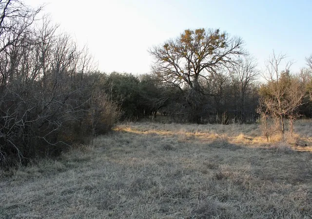 Homes for sale in Gustine, TX | Lot 49 Tatanka Trail, Gustine, TX 76455 | MLS# 21170277