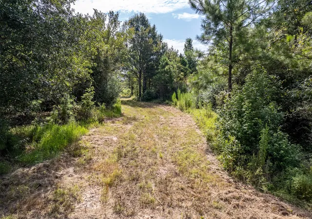 Homes for sale in Troup, TX | Tbd County Road 2115, Troup, TX 75789 | MLS# 21170281