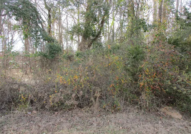 Photo 1 of Land for sale at Tbd Wood County Road 2958, Alba, TX 75410 | MLS# 21171435 | Listing updated on 2026-08-25