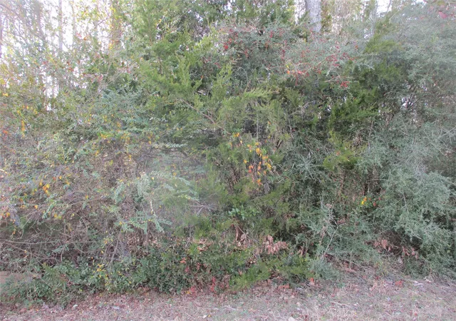 Photo 2 of Land for sale at Tbd Wood County Road 2958, Alba, TX 75410 | MLS# 21171435 | Listing updated on 2026-08-25