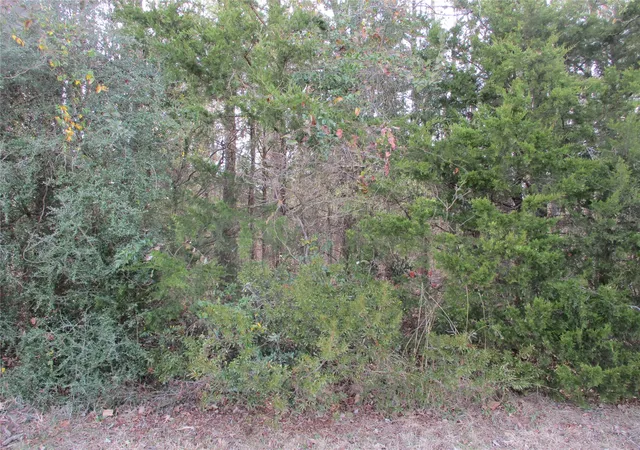 Photo 3 of Land for sale at Tbd Wood County Road 2958, Alba, TX 75410 | MLS# 21171435 | Listing updated on 2026-08-25