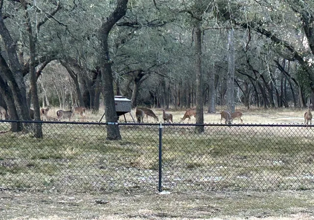 Photo 39 of Sale Pending at 130 Winding Trl, Crawford, TX 76638 | MLS# 21170430 | Listing updated on 2026-08-03