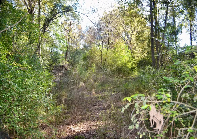 2nd image of Tract #2 Long St, Waskom, TX 75692 | MLS# 21171903