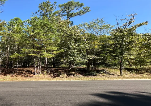 37th image of Tbd Holly Trl, Holly Lake Ranch, TX 75765 | MLS# 21172133