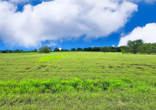 Homes for sale in Streetman, TX | Lot 134 Lake Vista Dr, Streetman, TX 75859 | MLS# 21164070