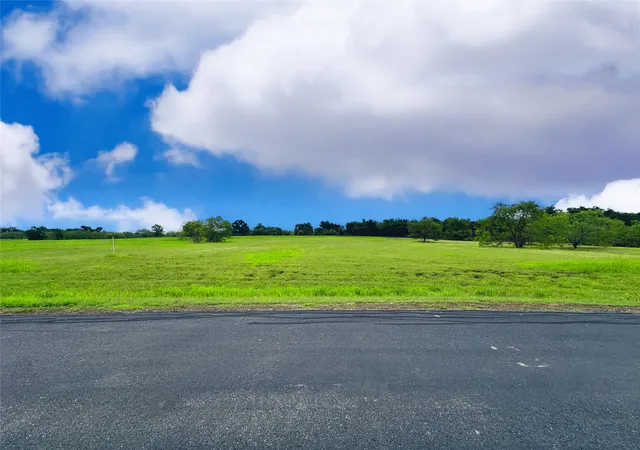 Homes for sale in Streetman, TX | Lot 134 Lake Vista Dr, Streetman, TX 75859 | MLS# 21164070