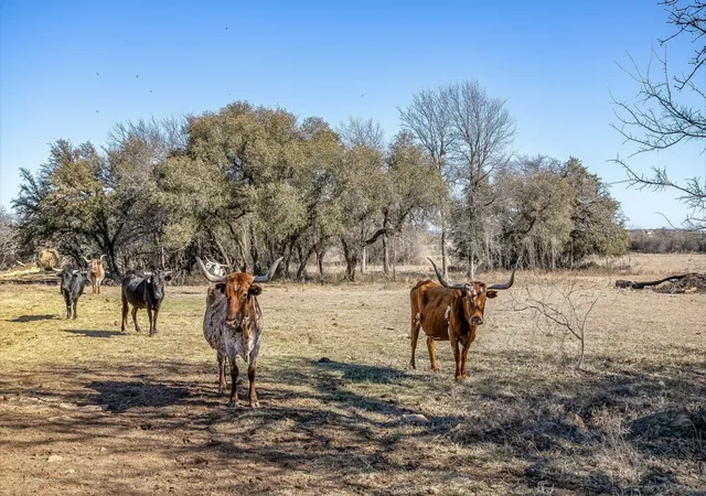 Photo 1 of Land for sale at 15 Acres Fm 2210, Bridgeport, TX 76426 | MLS# 21170717 | Listing updated on 2026-09-17