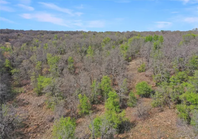 Homes for sale in Jacksboro, TX | Tbd Slusher Rd, Jacksboro, TX 76458 | MLS# 21172921