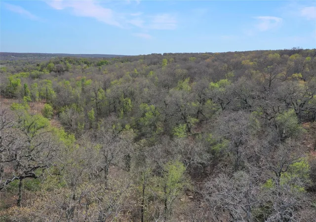 Homes for sale in Jacksboro, TX | Tbd Slusher Rd, Jacksboro, TX 76458 | MLS# 21172921