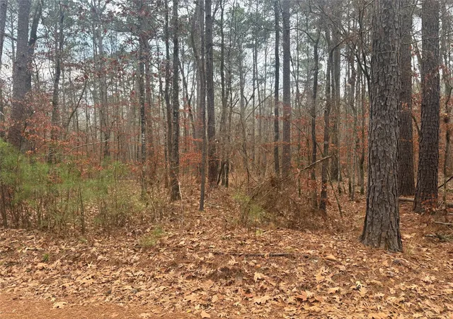 Photo 4 of Land for sale at 0 Clement Rd, Benton, LA 71006 | MLS# 21174116 | Listing updated on 2026-08-31